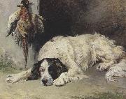 An English Setter at the end of the Day (mk37)